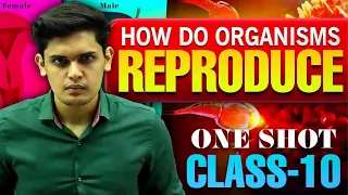 How Do Organisms Reproduce Complete Chapter🔥|Class 10th Science| NCERT covered| Prashant Kirad