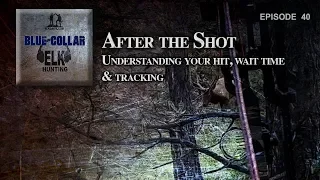 After the Shot - Understanding your hit, wait time & tracking