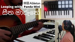 Looping with Worlde Panda Mini & My Guitar in Ableton | Seetha Maruthe Midi Keyboard Cover