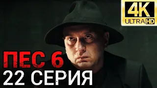 Сериал ПЕС 6 сезон - 22 серия - Все серии подряд в 4К - Смотреть онлайн в хорошем качестве