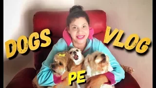 My Dogs Cutest Makeover Ever | SS vlogs :-) | Hindi