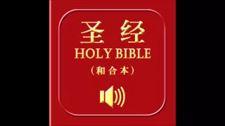 和合本圣经 • 撒母耳记上 | Chinese Union Version Bible • 1 Samuel