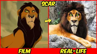 The Lion King 🦁 Real Life 👉 2024