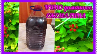 ВИНО из ЕЖЕМАЛИНЫ! Чудесное! АРОМАТНОЕ и КРАСИВОЕ!