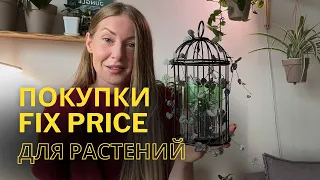 Покупки Fix Price для декора пространства с комнатными растениями.