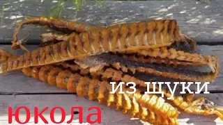 ВЯЛЕНАЯ ЩУКА, ЮКОЛА ИЗ ЩУКИ, ОСТРЫЙ БАЛЫК ИЗ ЩУКИ