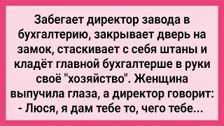 Директор Завода Снял Штаны в Бухгалтерии! Сборник Свежих Смешных Жизненных Анекдотов!