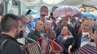 Concertinas/Cantigas/Peneda