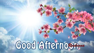 Good Afternoon Images for WhatsApp status Messages Greetings Wishes Wallpaper Pic  #goodafternoon