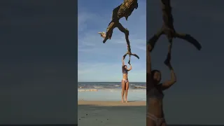 Woman attempting to hang on tree branch falls with it