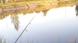 Вечерний Выход На Рыбалку