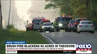 Brush fire blackens 65 acres in Theodore