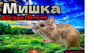 Мишка. Богдан Лепкий. Аудіокнига повністю.