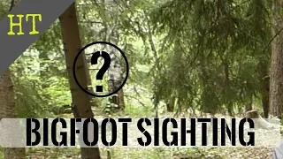 Bigfoot Captured On Video