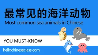 海洋动物【Advanced level/Extensive vocabulary list】Common Sea Animals in Chinese