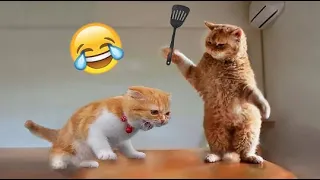 The New Funniest Video😂 #shortfeed #animals #funny #wild animal #amazing #asmr #cook #shortvideo