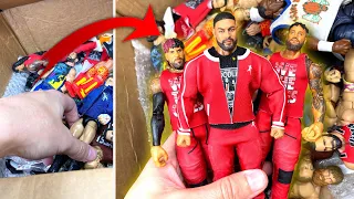 Someone sent me an unbelievable box of WWE action figures