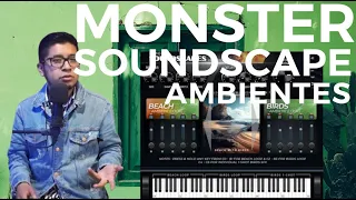 MONSTER SOUNDSCAPE | Sonidos Ambientales | NATURALEZA Y CIUDAD | VST REVIEW