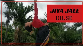 Jiya Jale/Dil Se/Bharatnatyam Dance//Raja Rani Dance Channel