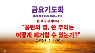 온라인 금요기도회(2022.12.23/금) 쓴뿌리회개(5) 음란의 영, 쓴 뿌리는 어떻게 제거할 수 있는가?(고린도전서 6:12~20)_동탄명성교회 정병진목사