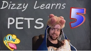 AMERICAN LEARNS RUSSIAN! |  Pets!! | DizzyDizaster