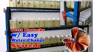 How to Build a Betta Rack with Easy Water Change System