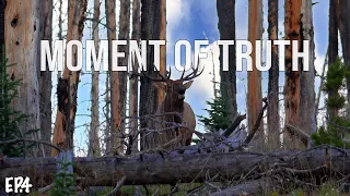 Moment of Truth | Colorado OTC Archery Elk Hunt