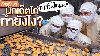 นักเก็ตไก่ทำยังไง ทำจากอะไรนะ !? - ทัศนศึกษา [ENG SUB]