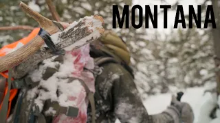 Plan E | An elk hunt in Montana.