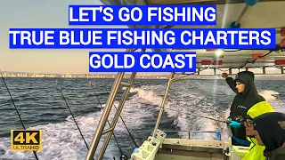 LET'S' GO FISHING - True Blue Fishing Charters - Gold Coast Australia