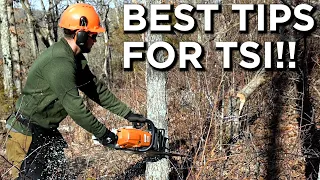 3 BEST Tips For Timber Stand Improvement!! | Goals, Maintenance, Invasives