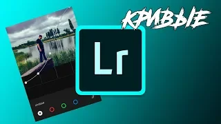 Как работать с кривыми в lightroom mobile