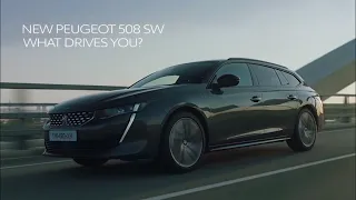 "А я вот езжу на Пежо и не..."                 Peugeot 508 SW 2019