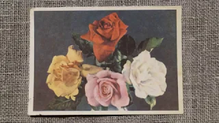 Открытки ссср цветы - ЦВЕТЫ СОВЕТСКИЕ ОТКРЫТКИ / Postcards of the USSR flowers