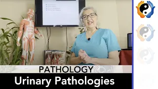 Urinary Pathologies