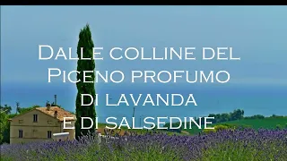 Profumo di lavanda e di salsedine - Sea salt & lavander fragance from the  the Piceno hills