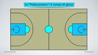 1a Pallacanestro   campo