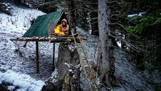 Building a complete WINTER SHELTER on a old TREE STUMP in harsh conditions!
