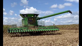 Corn Harvest 2022 has started