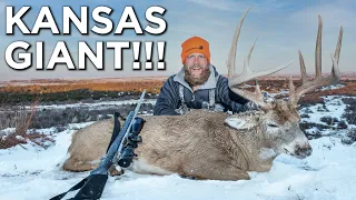 GIANT Kansas Buck During A Blizzard!!