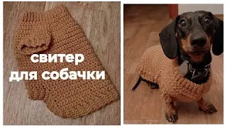 свитер для собаки КРЮЧКОМ ( размер s и м )