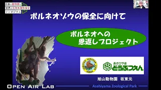 日本の動物園と世界の生物多様性保全シンポジウム④　ボルネオゾウの保全に向けて　発表者：坂東 元先生（旭山動物園長）