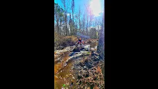 BEAVER DAM REMOVAL In One Minute! Back Breaking Work In Wood Creek! S2 EP. 2! #shorts