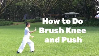 Online Tai Chi Class: How to Do Brush Knee and Push