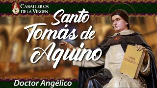 Santo Tomás de Aquino: La historia del más sabio de los santos. Caballeros de la Virgen