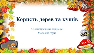 Відеозаняття з ознайомлення із соціумом "Користь від дерев та кущів" Молодша група