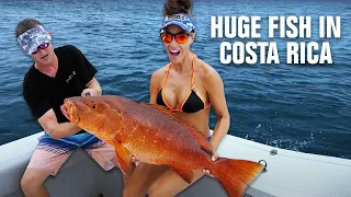 GIANT Cubera & Roosterfish in Costa Rica!!