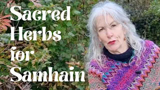 Sacred Herbs for Samhain