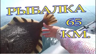 Рыбалка в море. Камбала . Минтай/ САХАЛИН