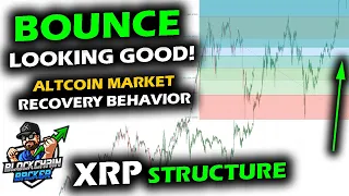 BOUNCE KEEPS UP for Altcoin Market and Bitcoin Price as XRP Resembles Past, Structure Intact